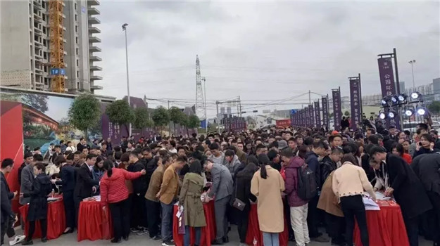 新澳门全年免费原料网